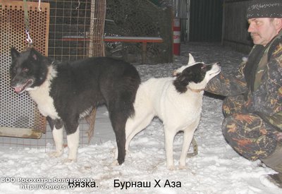 вязка 2.JPG