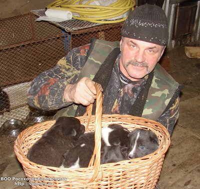 щен3.JPG