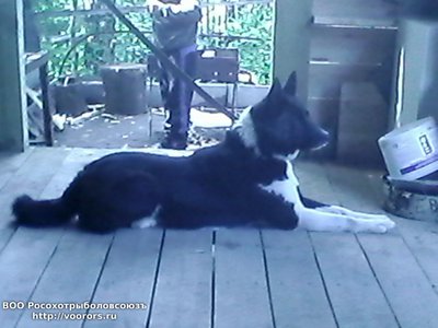 IMG10022.jpg