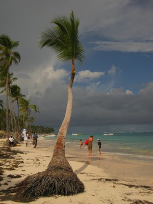 IMG_3989.JPG