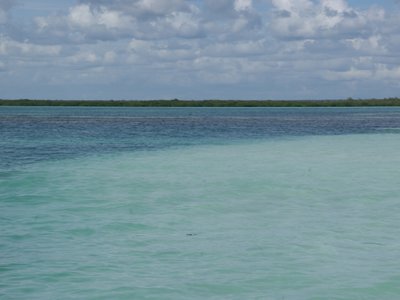 DSC00814.JPG