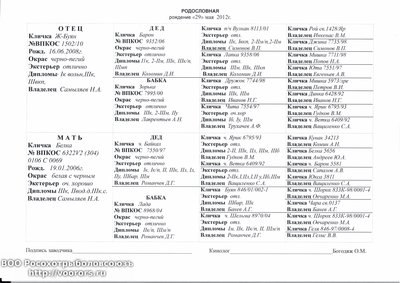 20130203_111632.jpg