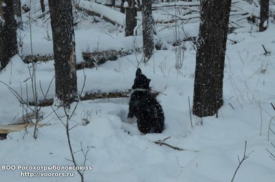 Чип за вчерашней работой..JPG