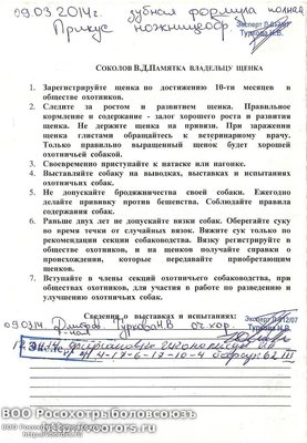 сканирование0001 (2).jpg