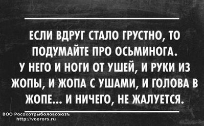 foto (10).jpg