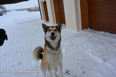 новый год суна 001.jpg