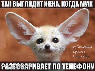 getImage (66).jpg