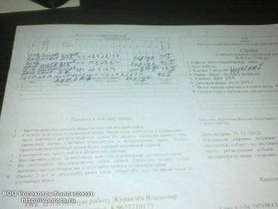 22112013_2.jpg