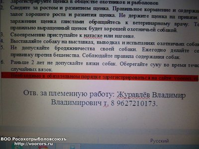 P1050904.JPG
