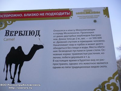 P1040365.JPG