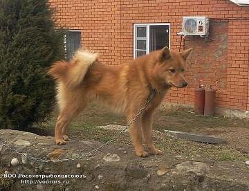 1422106967005_1 - копия.jpg