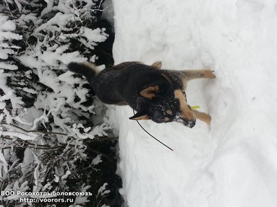 20150125_124022.jpg