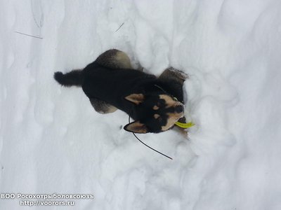 20150125_123952.jpg