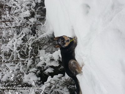 20150125_124040.jpg