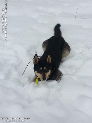 20150125_123952.jpg