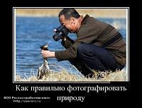 1399994618_1-demotivatory-xaxanet-20140513.jpg