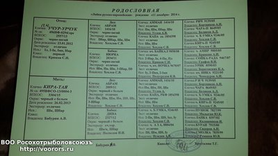 20150126_235929.jpg