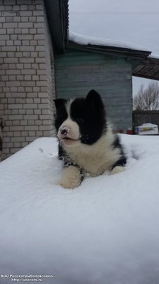 20150125_111448.jpg