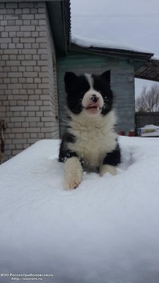 20150125_111449.jpg