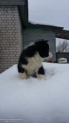 20150125_111450.jpg