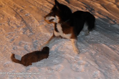 IMG_2962.JPG