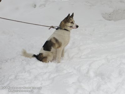 IMG_4605.JPG