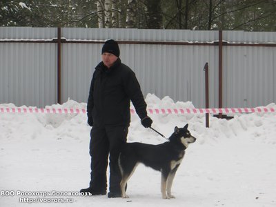 IMG_4627.JPG
