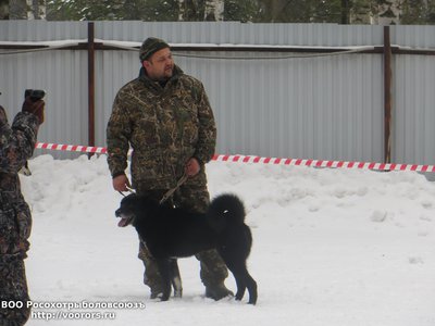 IMG_4632.JPG