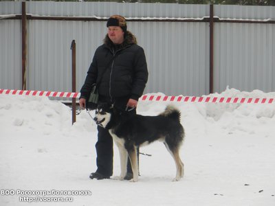 IMG_4633.JPG