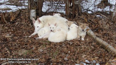 DSC07670.JPG