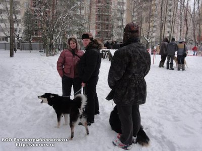 DSC07212.JPG