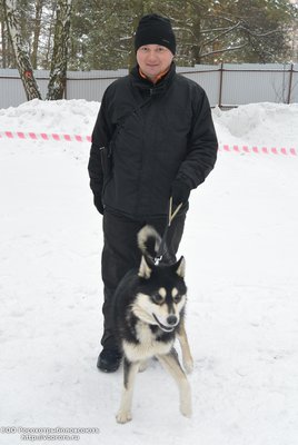 родословные 053.jpg