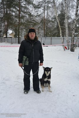 родословные 065.jpg