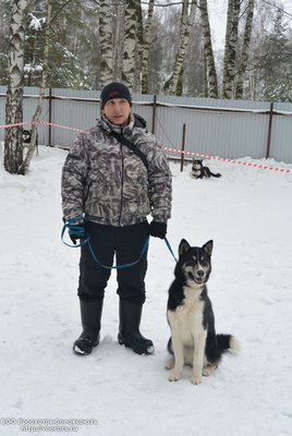 родословные 066.jpg