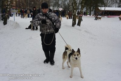 родословные 071.jpg