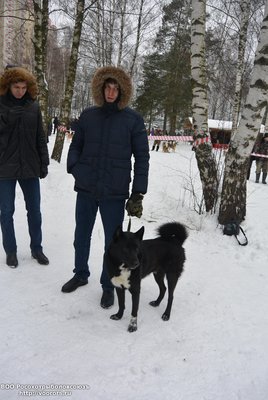 родословные 073.jpg