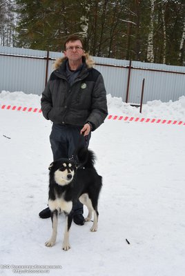 родословные 079.jpg