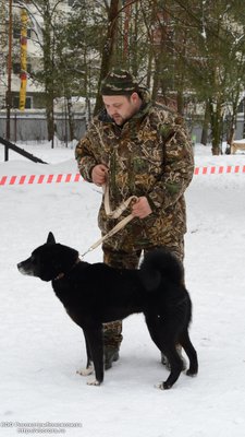 родословные 075.jpg