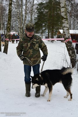 родословные 077.jpg