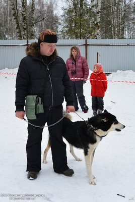 родословные 082.jpg