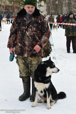 родословные 081.jpg