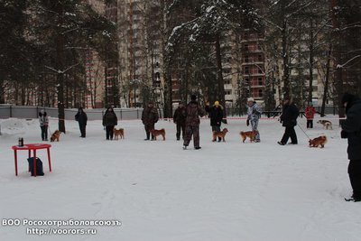 IMG_1177.JPG