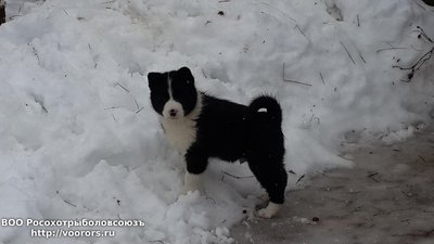20150201_110754.jpg