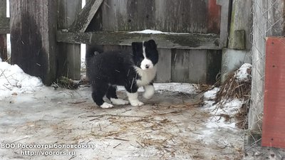 20150201_110759.jpg