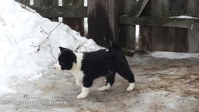 20150201_110751.jpg