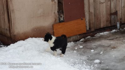 20150201_110647.jpg
