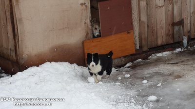 20150201_110645.jpg