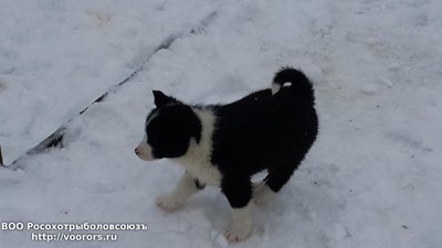 20150201_110522.jpg