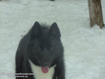 100_2073.JPG