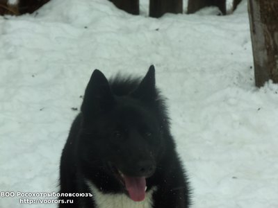 100_2074.JPG